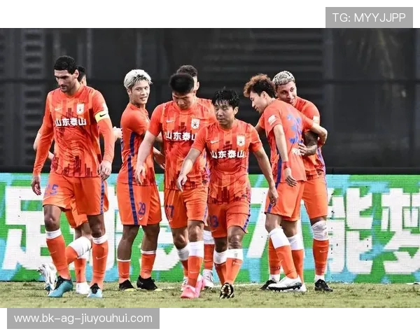 深度解析辽宁与山东足球实力谁更强的全面综合比较研究报告综述